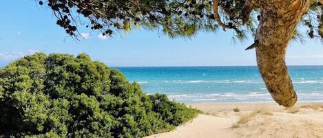 Beach nearby, beach towels