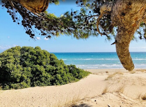 Charming loft-style apartment just 60 m from Artemida’s long sandy beach!