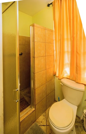 Shower, towels, soap, toilet paper