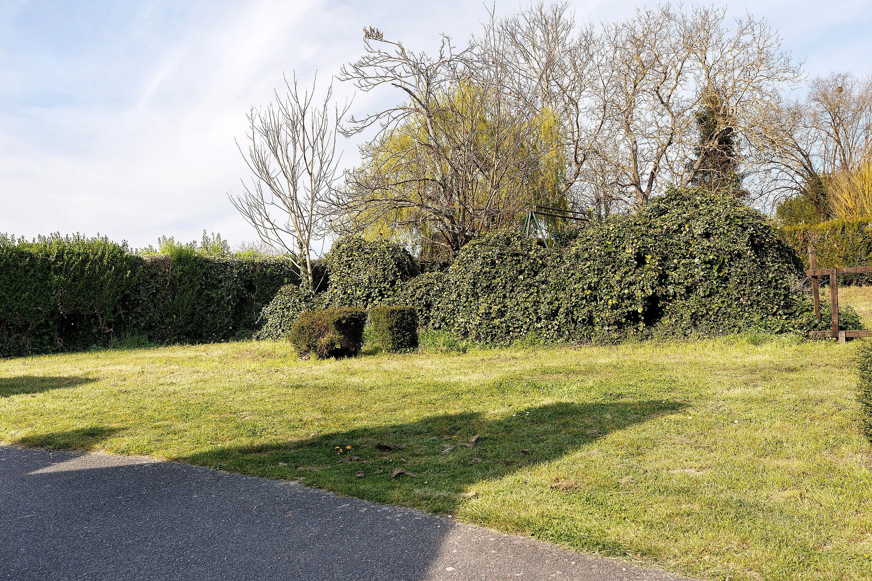 A grassy area with a hedge and trees, a paved path, and a wooden fence.