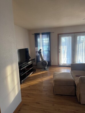 TV connectée, cheminée, lecteur de DVD