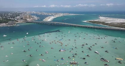 🦩Book Me Baby! New Unit in Popular Destiny🦩