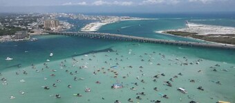 🦩Book Me Baby! New Unit in Popular Destiny🦩