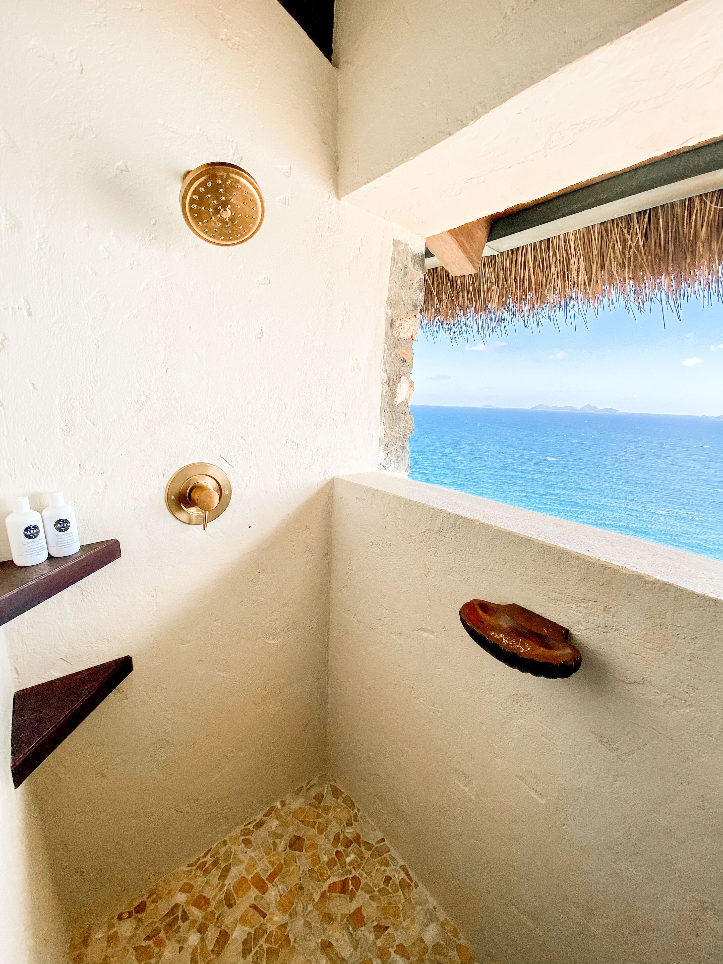 Ein Badezimmer mit Meerblick, einer Dusche, einem Handtuchhalter und einem Ablagefach mit Toilettenartikeln.