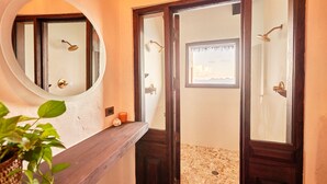 Une salle de bain avec une porte en bois, un miroir et une plante en pot.
