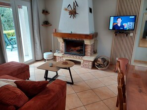 Una televisión, una chimenea, libros