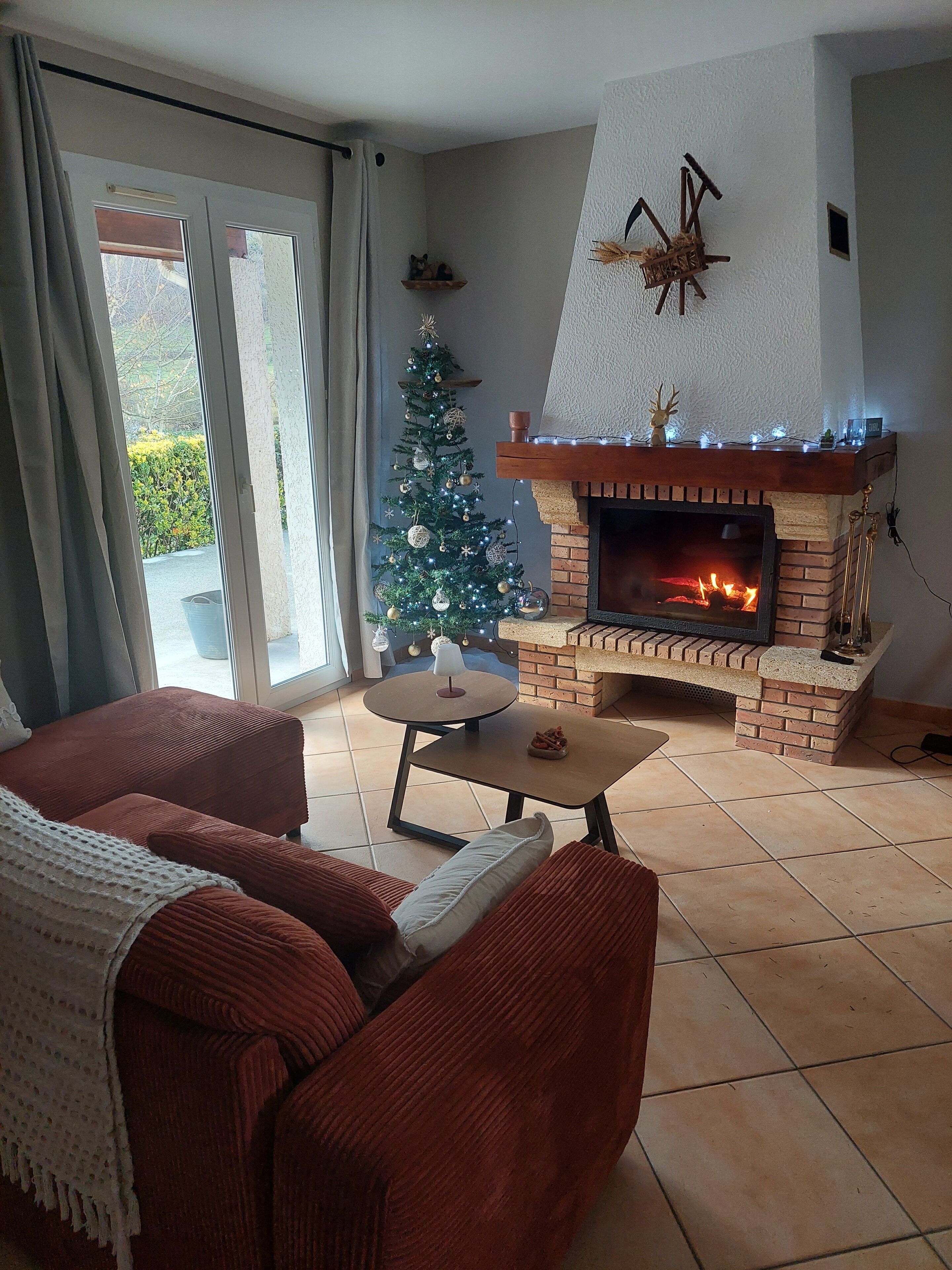TV, fireplace, books