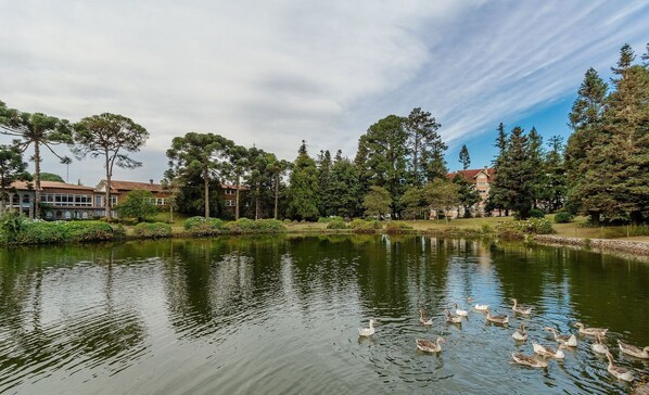 Property grounds - Apt in Canela Facing Duck Lake Cbl307 (Canela)