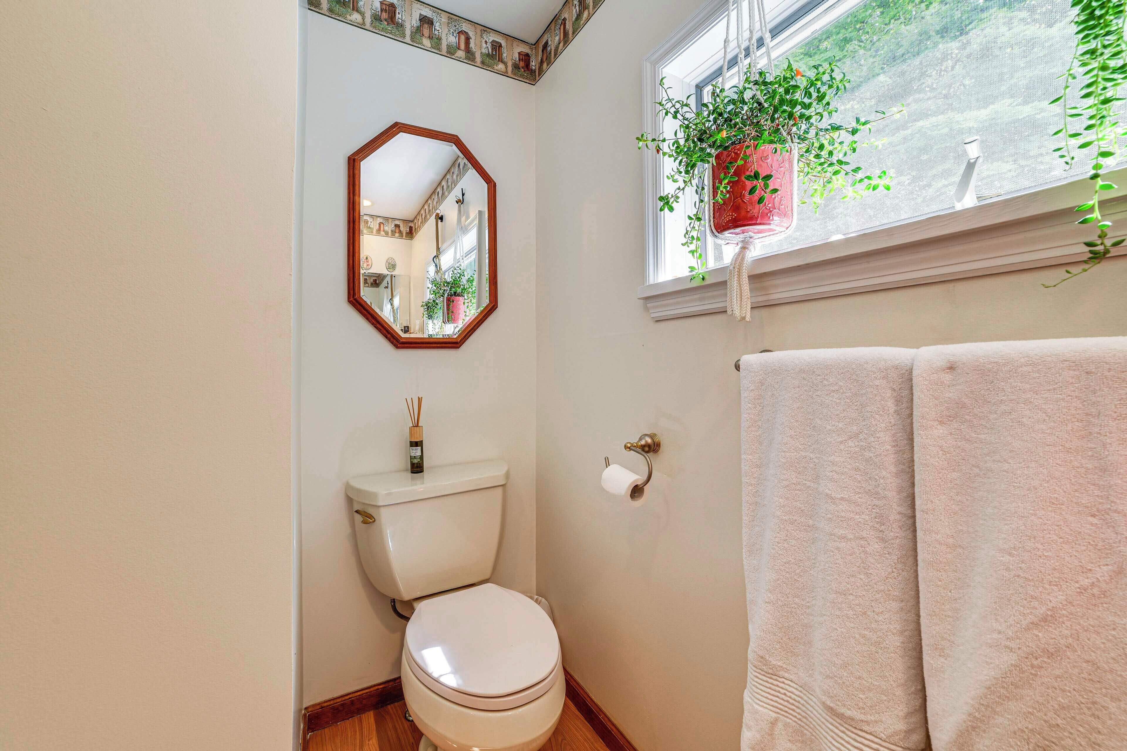 A bathroom with a toilet, a mirror, a window with a hanging plant, and a towel rack.