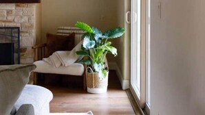 Un salon avec un canapé, une cheminée, une plante et une porte-fenêtre coulissante.