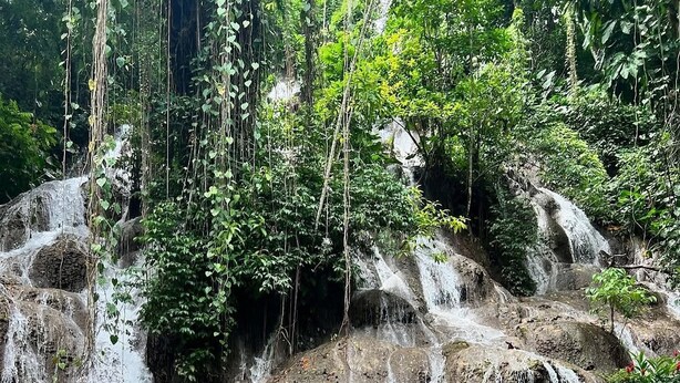 A dining table set up by a waterfall with a clear view of the surrounding forest.