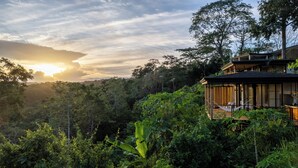 Ein modernes Haus mit einer Holzdiele und einer Hängematte, umgeben von üppiger Vegetation und einer bewaldeten Landschaft.