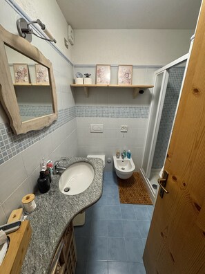 Shower, hair dryer, bidet, towels