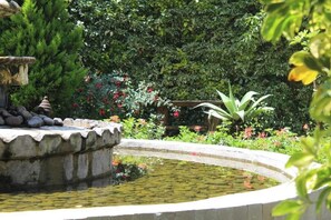 Jardines del alojamiento