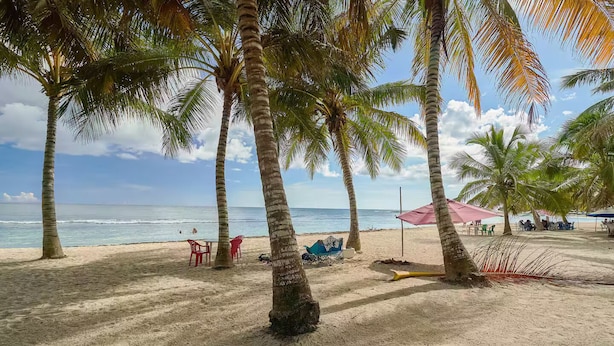 A beach with palm trees, a sandy shore, and a few beach chairs and umbrellas. - 2Bdrm Apt. Front Juan Dolio Beach Access - Pool+BBQ (Juan Dolio)