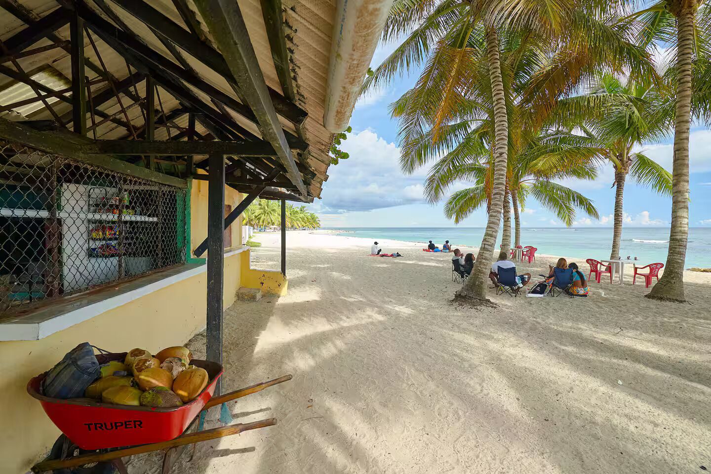 A beachside scene with a covered area, palm trees, and a beach with people relaxing.
