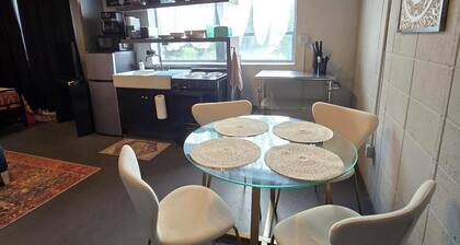 Bohemian Industrial Studio Apartment Near Hospitals and Colleges