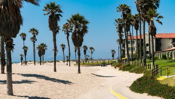 A beach with palm trees, a curved road, and a building with a red roof. - Perfect 2-bedroom beach condo in Oxnard (Oxnard)