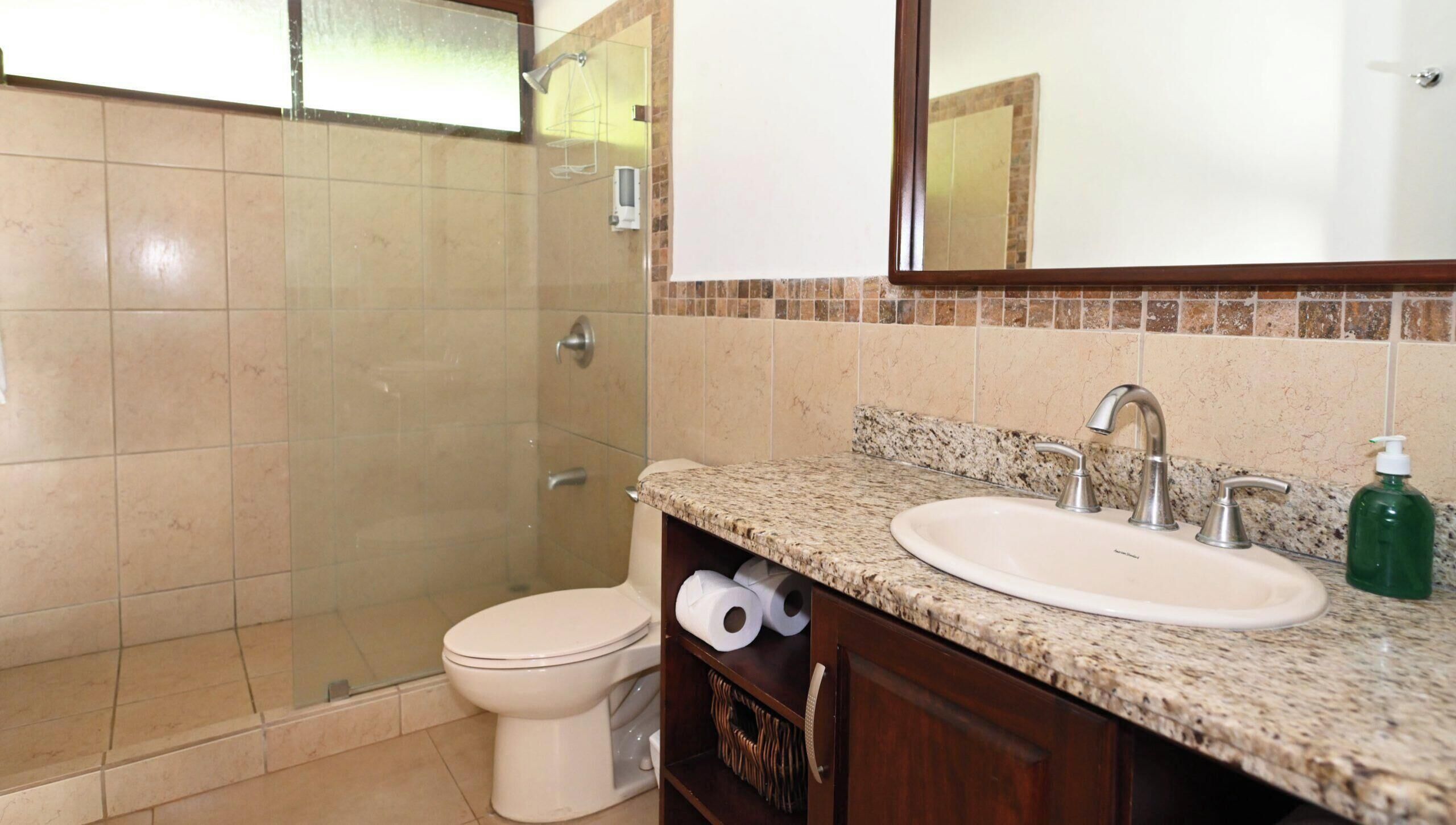 A bathroom with a glass-enclosed shower, a toilet, a sink with a mirror above it, and a bottle of soap on the counter.