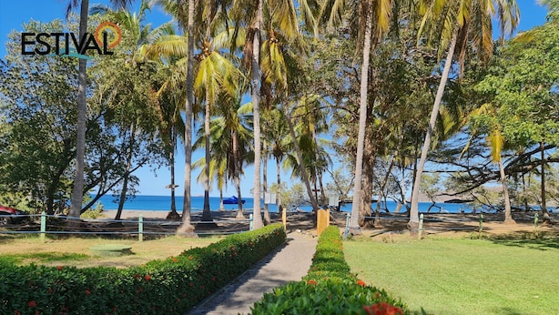 A pathway lined with palm trees and red flowers leading to a beach with umbrellas and a clear blue sky. - Villas Estival Playa Prieta (Tempate)