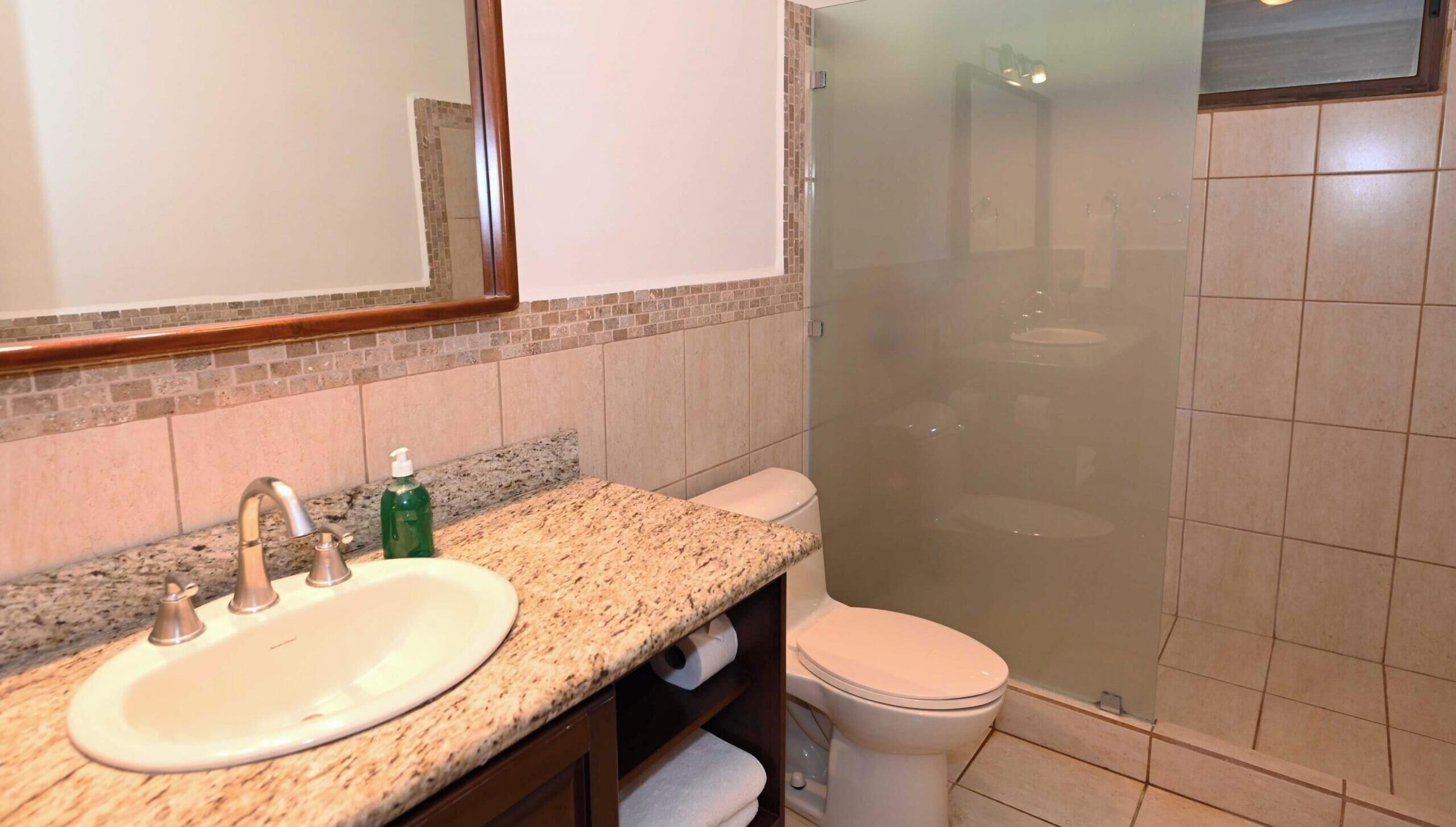 Une salle de bain avec un lavabo sur un plan de travail en granit, un miroir, des toilettes et une douche à parois de verre.