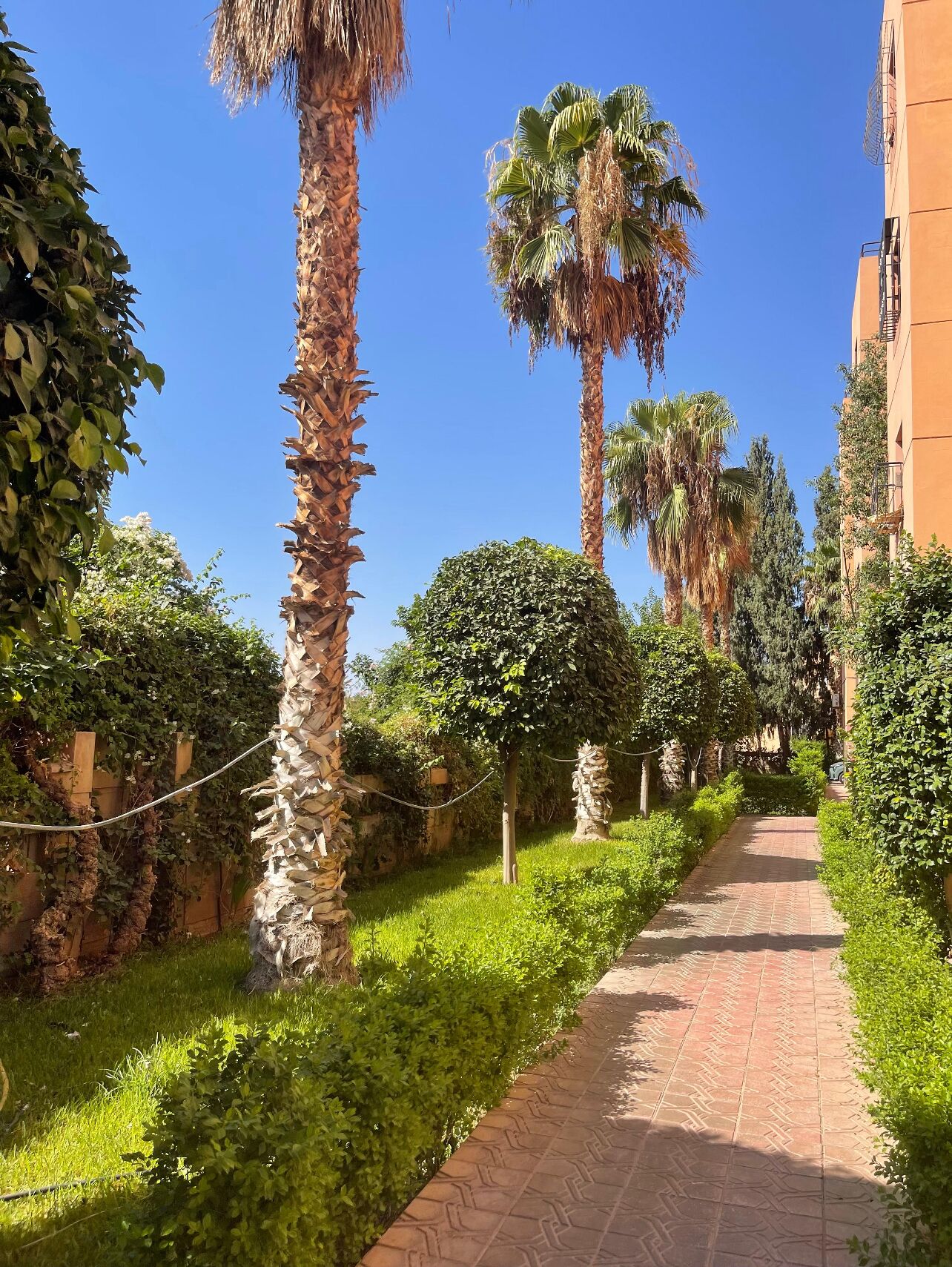 Terrein van de accommodatie