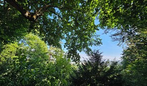 Miscellaneous - Beautiful loft for 2 with lovely terrace in a quiet location (Meulan-en-Yvelines)