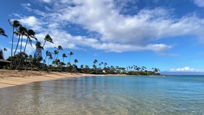 Une plage à l’eau claire, bordée de palmiers, avec une montagne qui se profile à l’horizon.