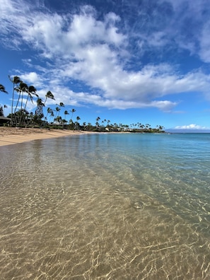 Une plage à l’eau claire, bordée de palmiers, avec une montagne qui se profile à l’horizon.
