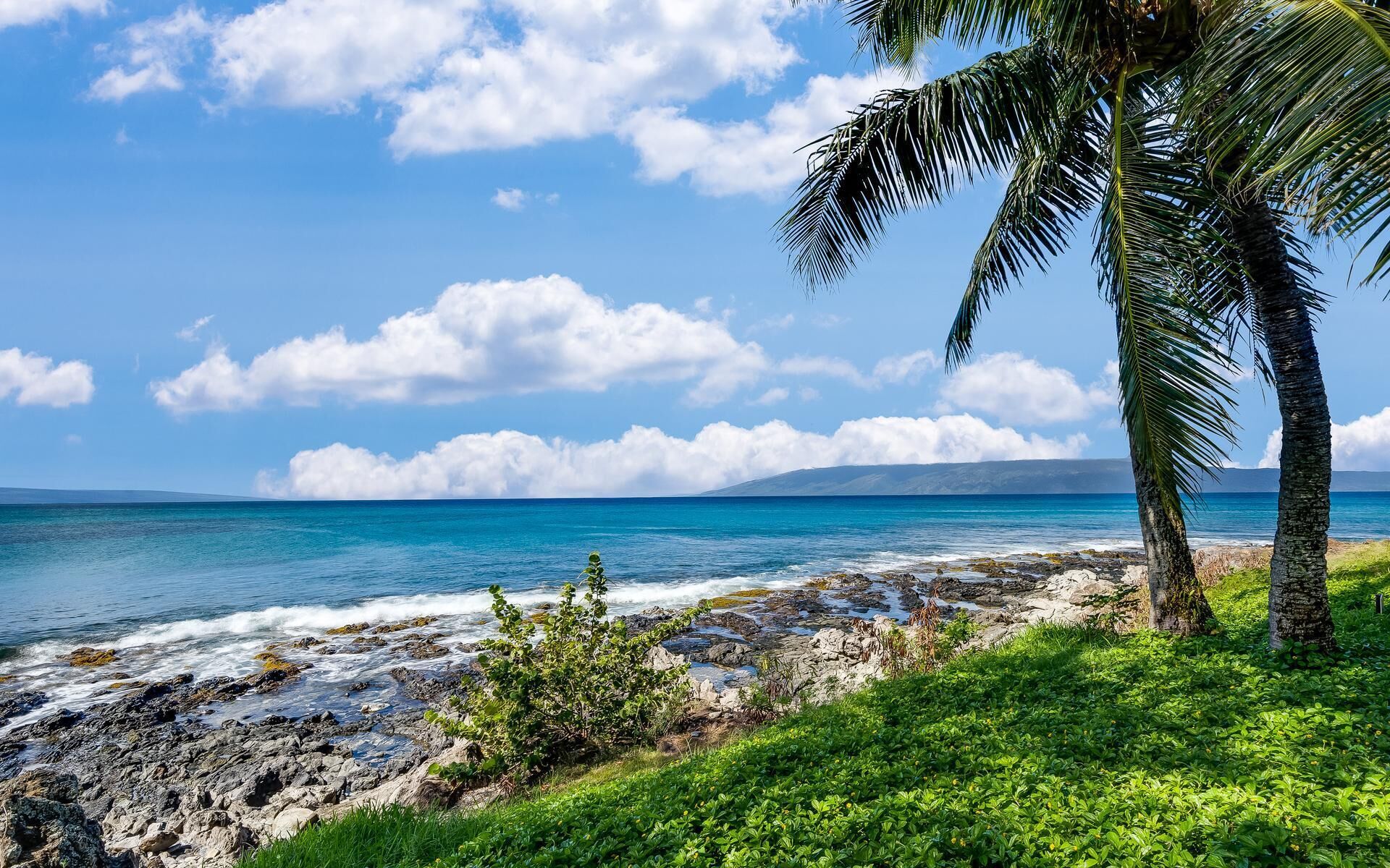 Sillas reclinables de playa, toallas de playa