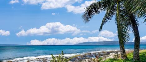 Chaises longues, serviettes de plage
