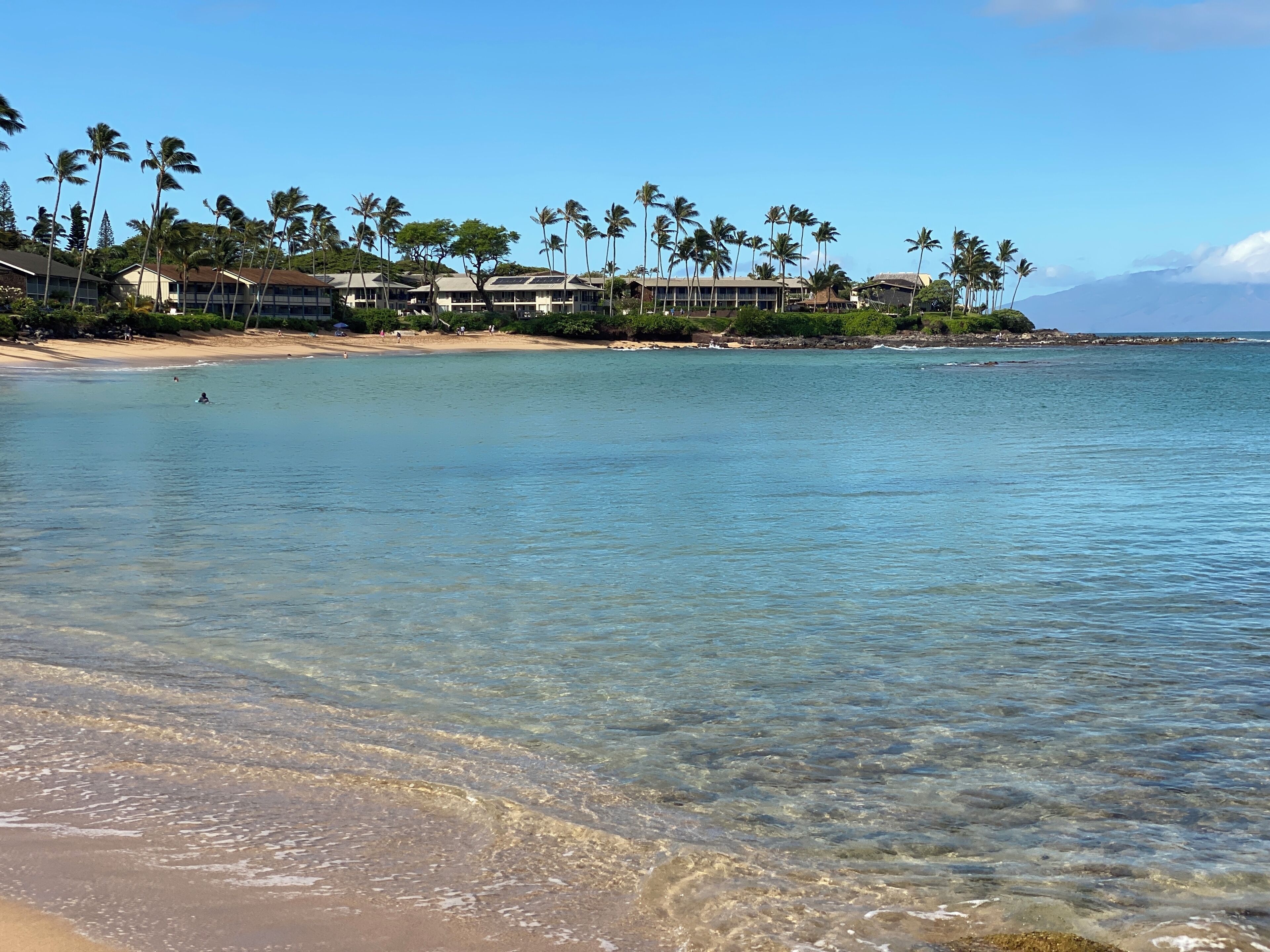 A beach with clear water, palm trees, and a resort with multiple buildings.