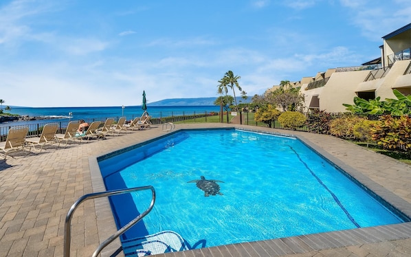 Piscine extérieure
