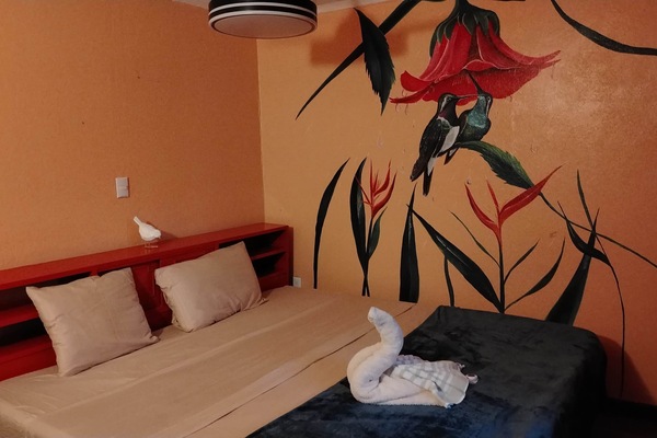 Hummingbird room - king size bed