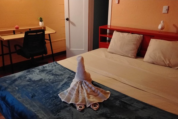 Hummingbird room -