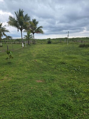 Miscellaneous - Owl Room at Jane's Beach Resort (Chacarita)