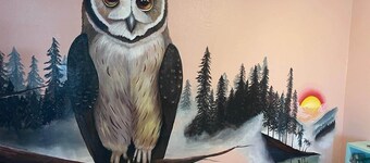 Owl Room at Jane's Beach Resort