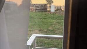 Una ventana con vista a un campo cubierto de hierba y un árbol.