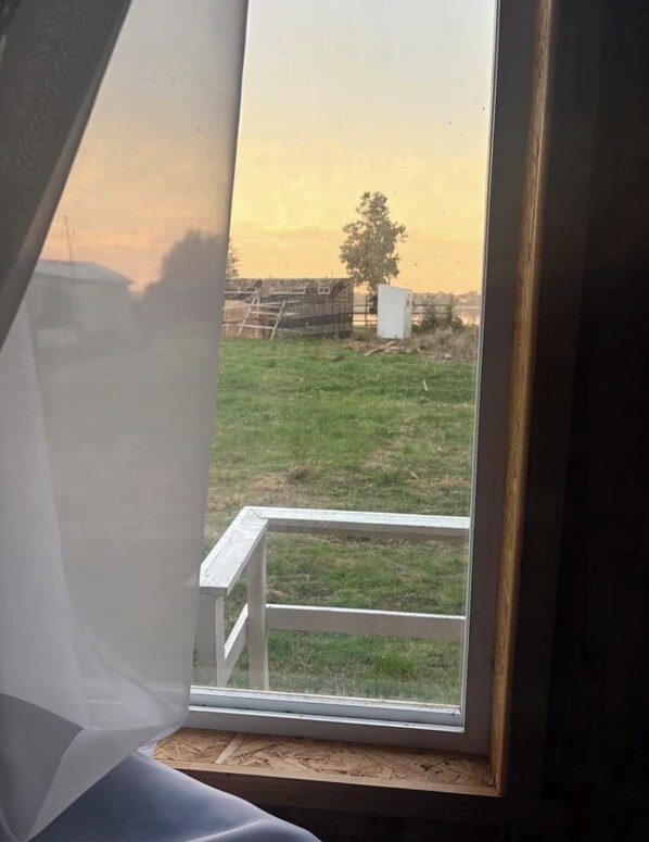 A window with a view of a grassy field and a tree.