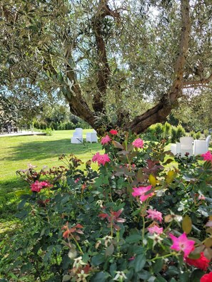 Àrea exterior de l'allotjament