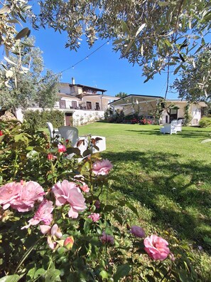 Property grounds - Venere Studio Apartment: a self-contained, fully equipped studio surrounded by greenery (Lazio)