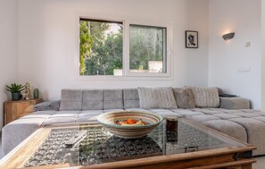 Televisión y chimenea 