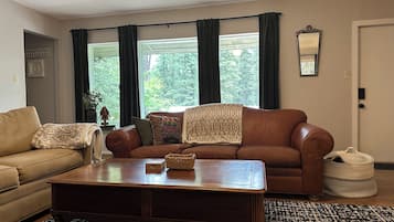 Smart TV, chimenea, libros y estéreo