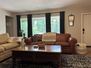 Smart TV, fireplace, books, stereo