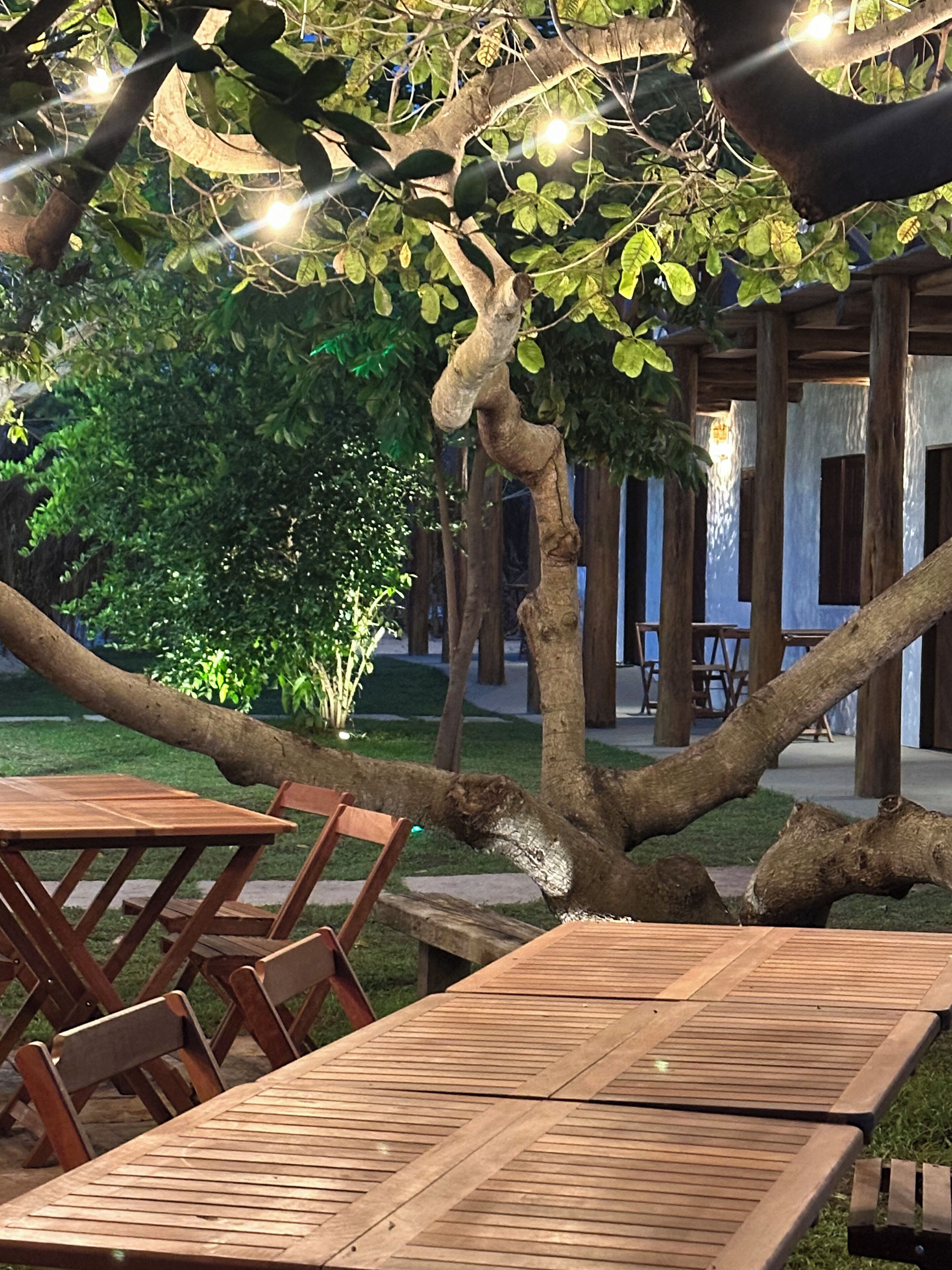 An outdoor dining area with wooden tables and chairs, a large tree with hanging lights, and a building with wooden beams in the background.