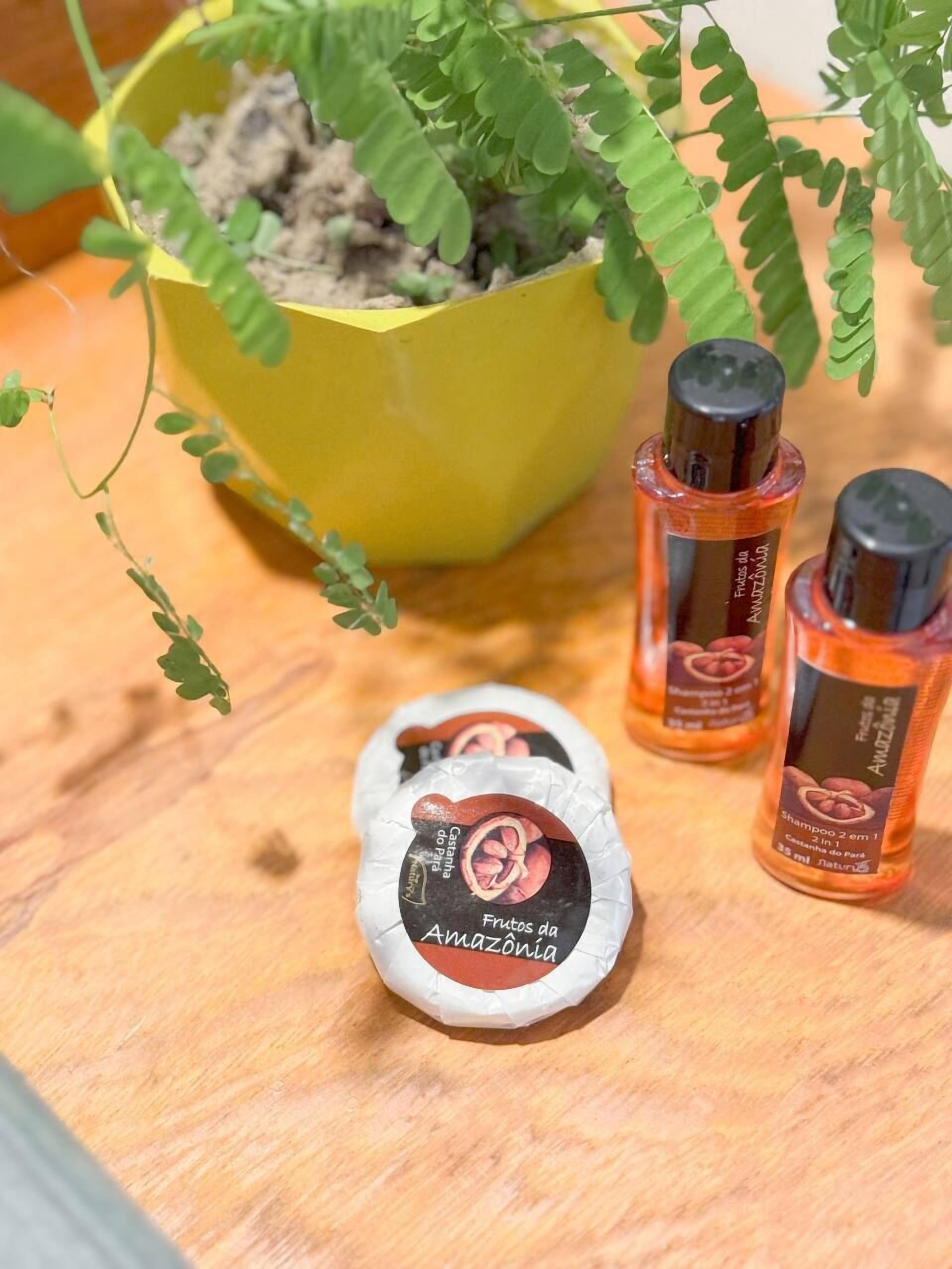 Et træbord med en gul potte med grønne planter, to flasker med orange væske og en hvid pakke med rød etiket.