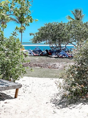 View from property - Atins Beach House (Barreirinhas)