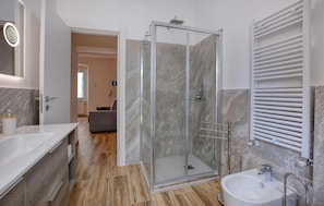 Shower, hair dryer
