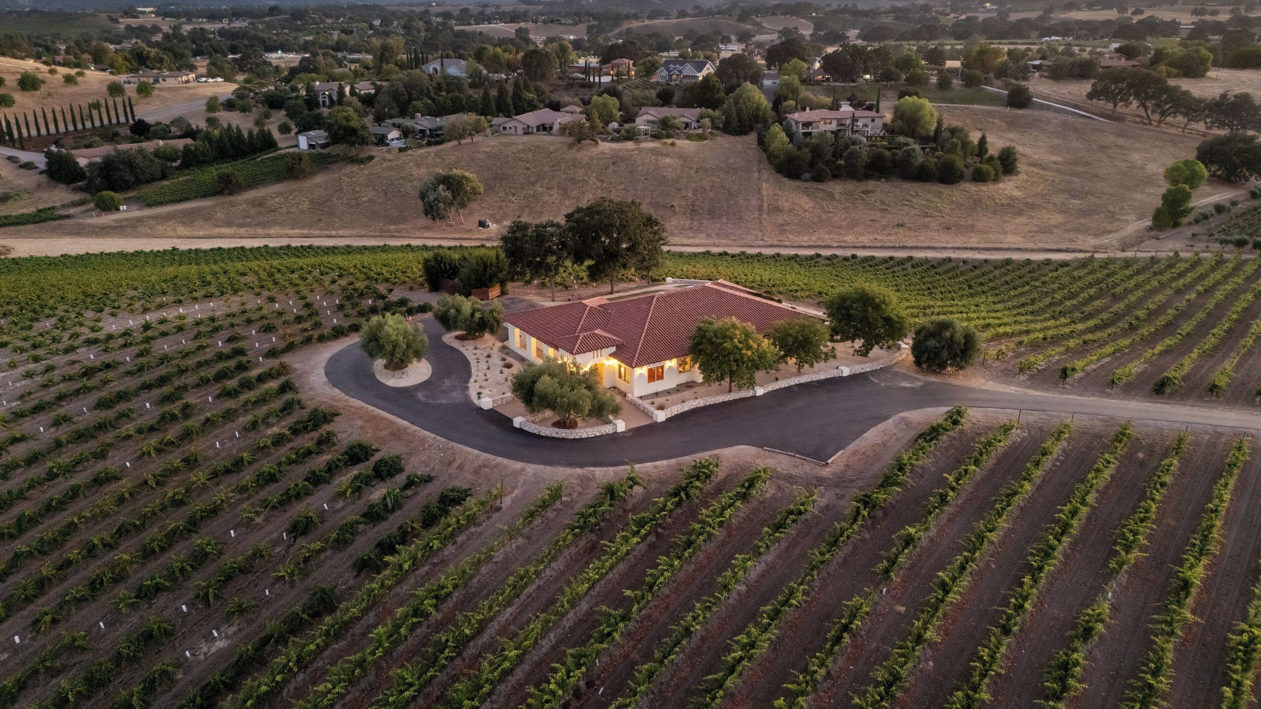 A vineyard with rows of grapevines, a central building with a red roof, and surrounding houses.