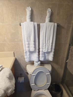Serviettes fournies, savon, papier toilette